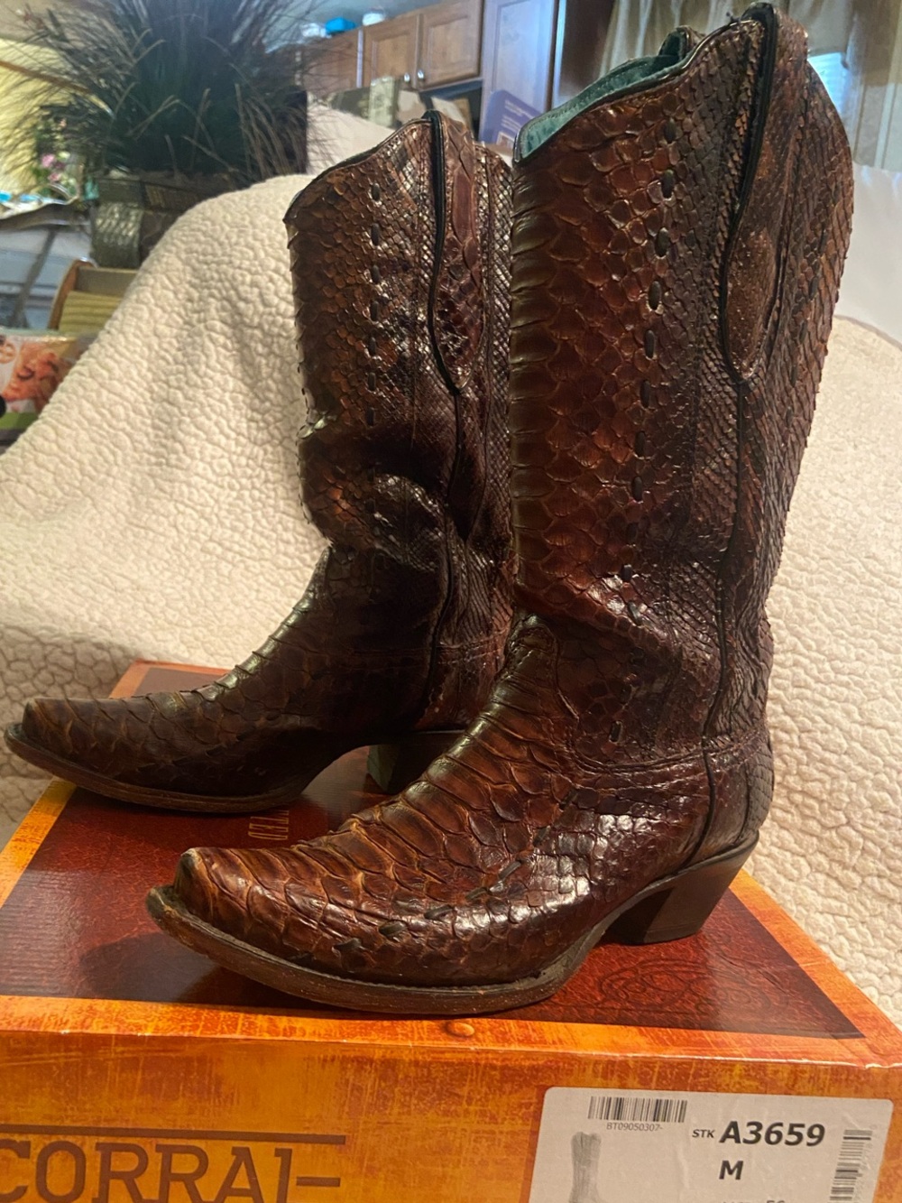 Corral Dark Brown Python-Effect Leather Western Boots